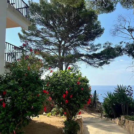 Les Terrasses De Cala Llevado Appartamento