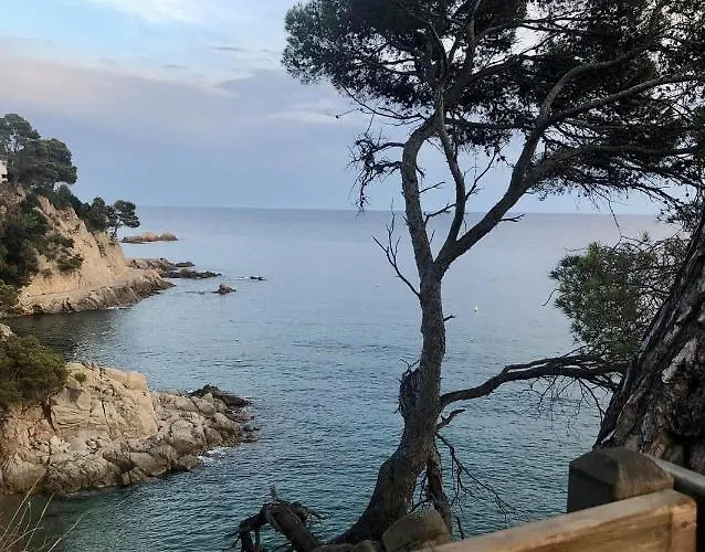 Les Terrasses De Cala Llevado شقة