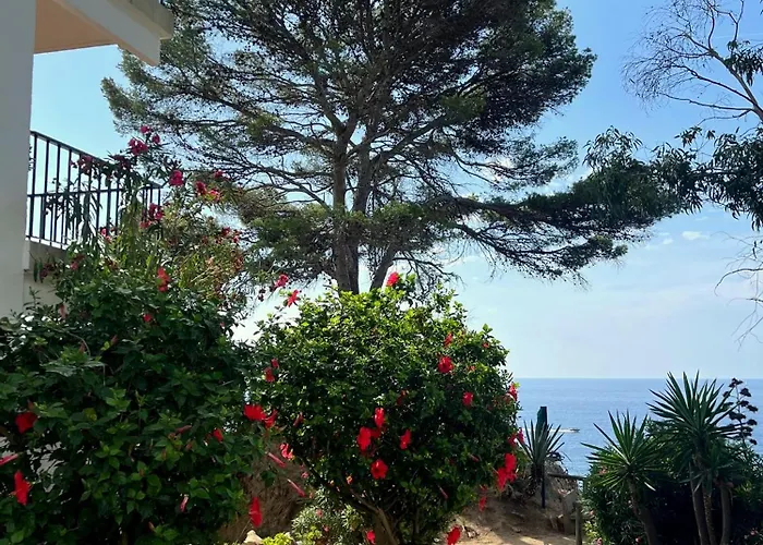 Les Terrasses De Cala Llevado Appartement